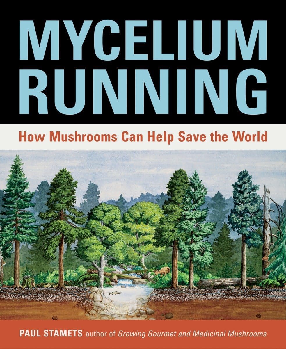 Guided Exploration of Mycelium Running Book